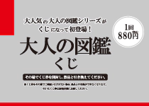 キャンパス